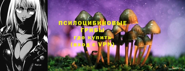 PSILOCYBIN Белоозёрский